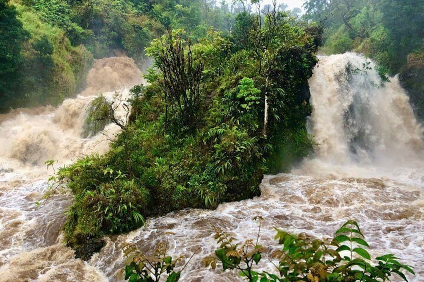 Private Road to Hana Waterfalls, Black Sand & Hidden Gems 4