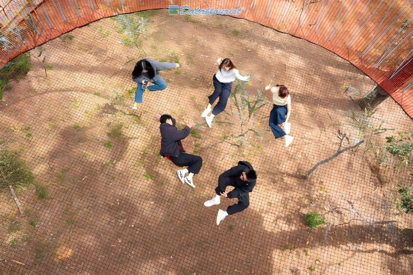 Un grupo de personas saltando dentro de una estructura con red. 3