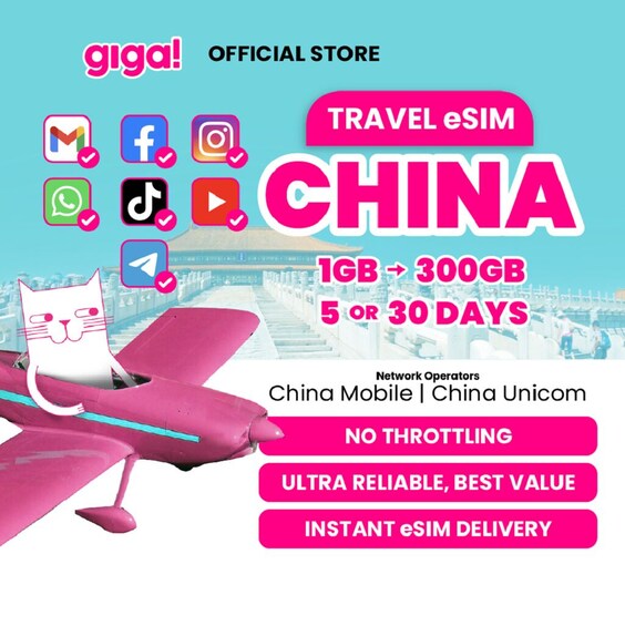 A promotional graphic for a travel eSIM service in China, featuring a pink airplane and a white cat. 1