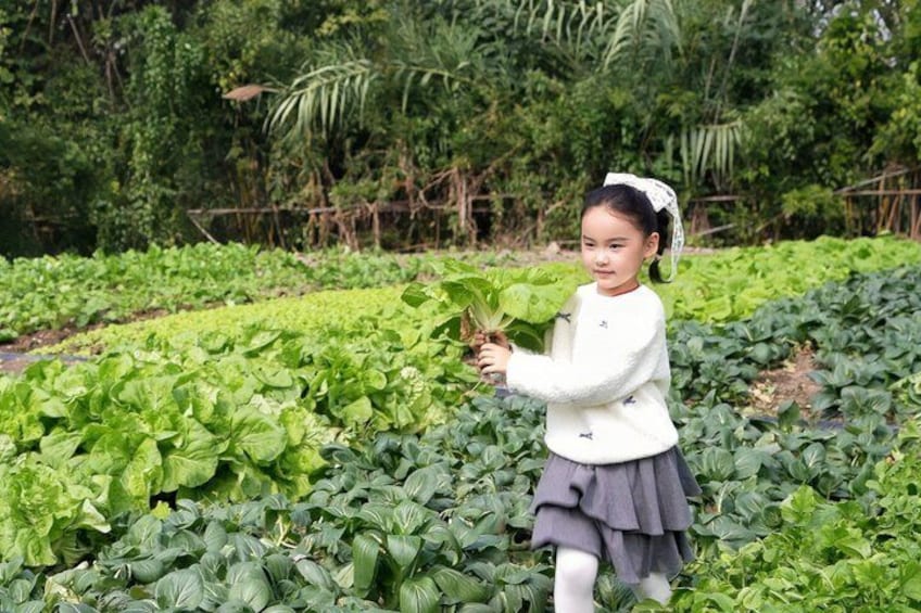 Private Xixi Fisherman Tour – Farm-to-Table Harvest Experience 2