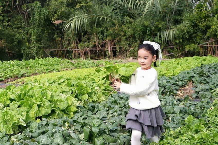 A child holding a leaf in a lush green garden. 3