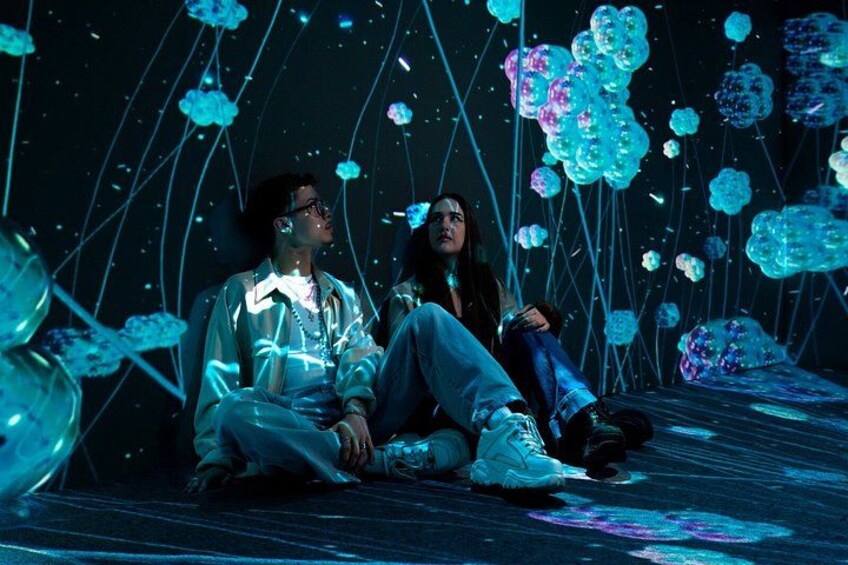 Cinema Mystica An Immersive Art Experience Ticket 5