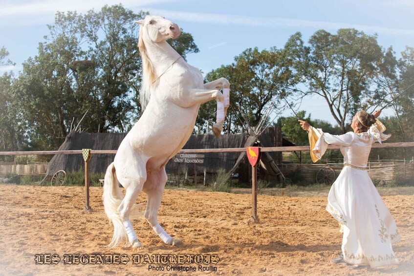 A white horse rearing up on its hind legs, a person in white attire holding a flag, and a sandy arena with trees in the background. 5