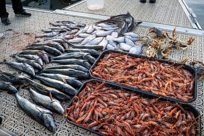 Una variedad de mariscos dispuestos sobre una superficie metálica. 2