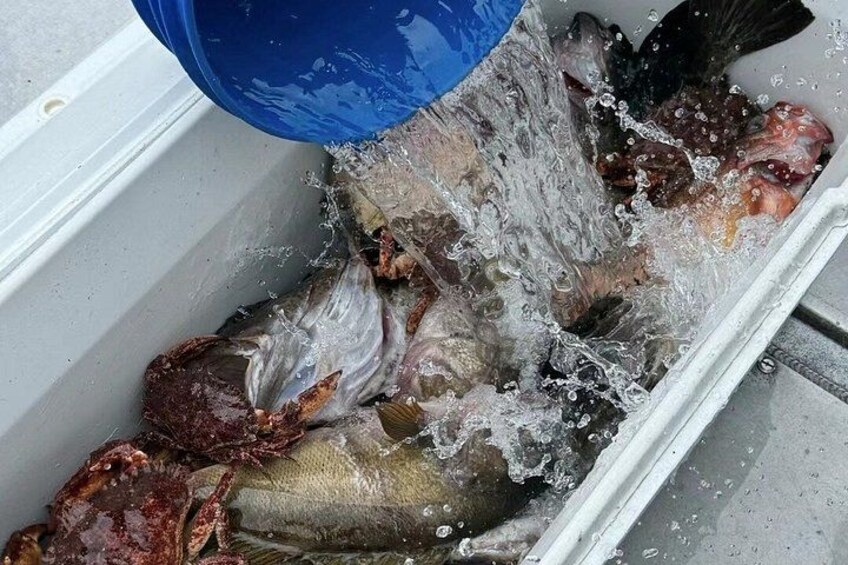 Un acuario con varios peces y agua salpicando. 5