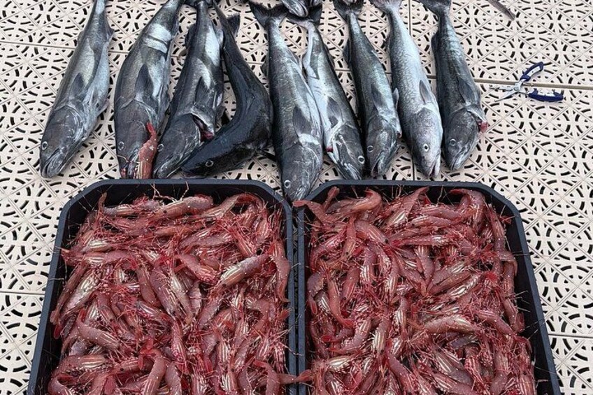 Una variedad de pescado y camarones sobre una superficie estampada. 4