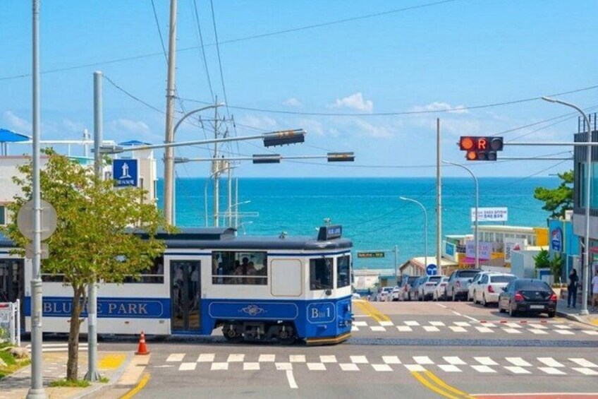 A tram at a coastal intersection with a clear view of the ocean. 5