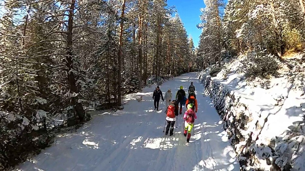 A snowy path flanked by trees, with people walking and one person skiing. 4