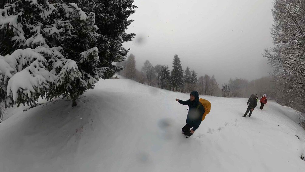 A snowy landscape with a person snowboarding down a slope, surrounded by snow-covered trees. 3