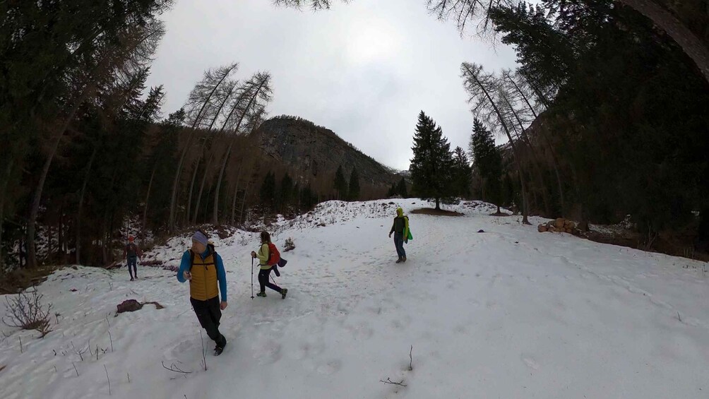 A snowy forest trail with hikers. 2