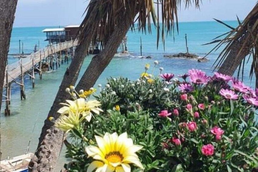 A beach with palm trees, flowers, and a pier extending into the water. 4
