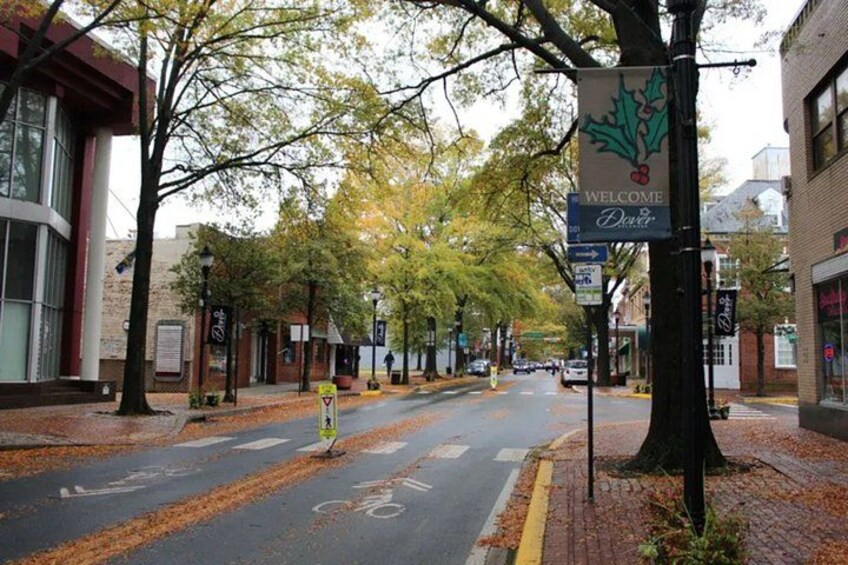 A tree-lined street with a welcome sign, buildings, and a cyclist. 4