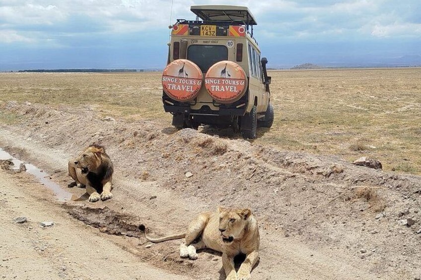 2 Day Magical Masai Mara Fly in Safari 3