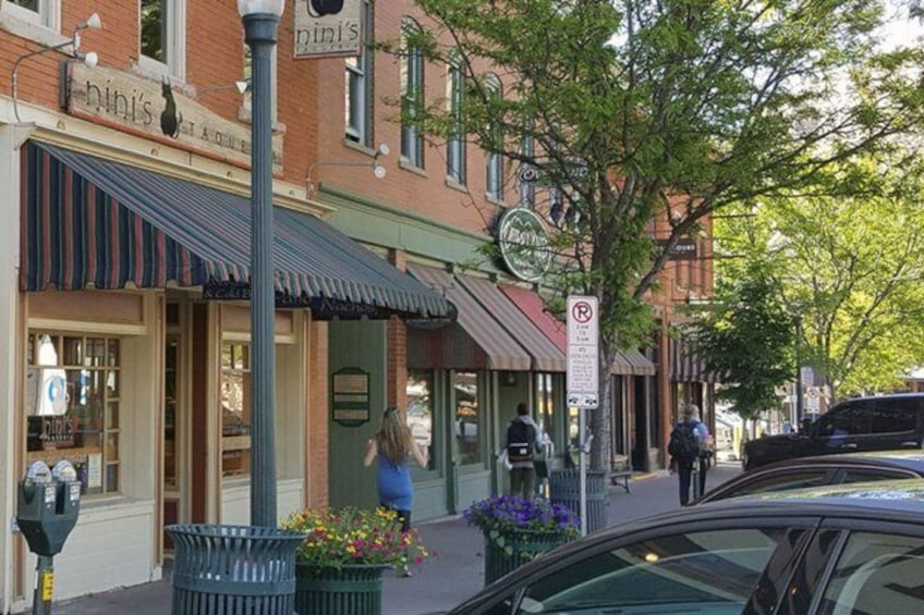 A street with shops, a parking meter, a trash bin, and a tree. 4