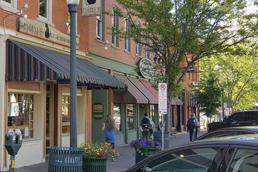 A street with shops, a parking meter, a trash can with flowers, and a tree. 3