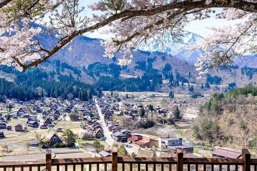 Un pueblo con casas tradicionales, cerezos en flor y montañas nevadas al fondo. 4