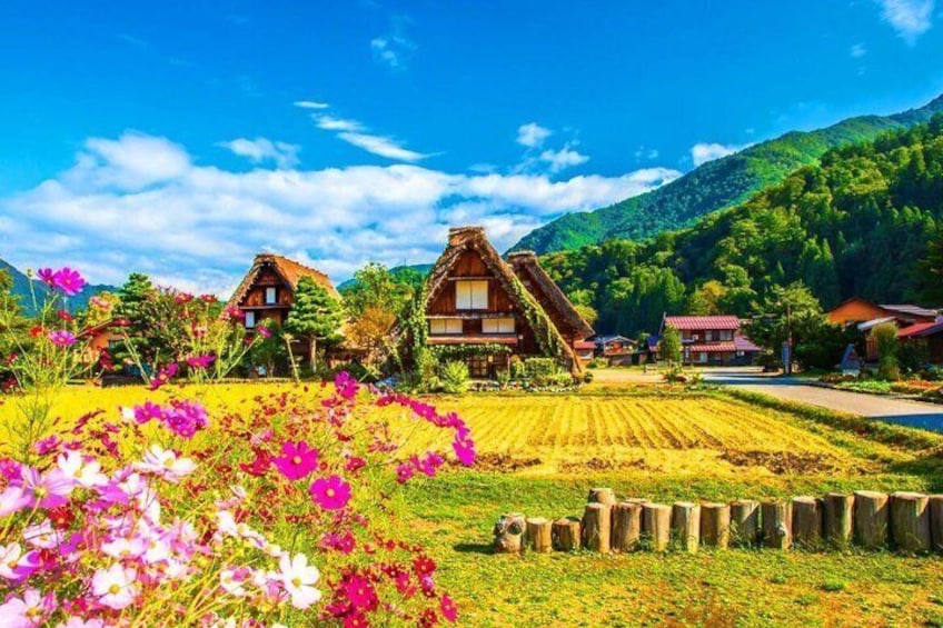 Casas tradicionales, un campo y montañas al fondo. 1