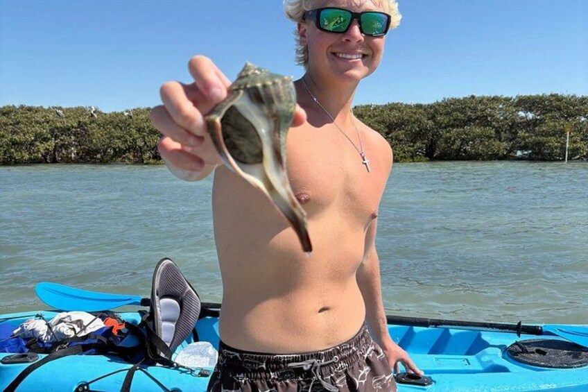 En person som håller ett snäckskal och står bredvid en blå kajak på en vattenyta med en skogbeklädd strand. 3