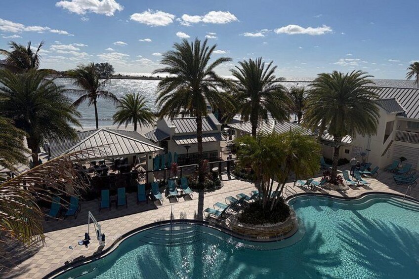 Clearwater Dolphin Kayak Tour and Bird Island Adventure 2