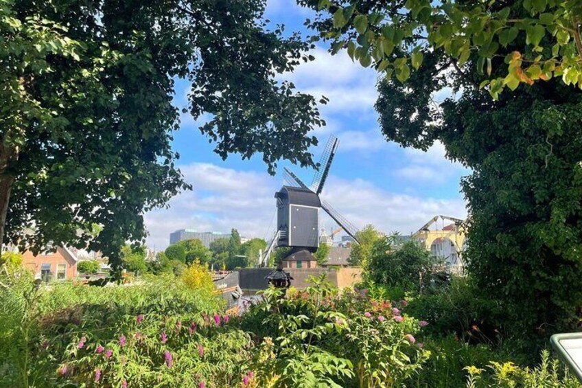 Discover Leiden: From Pilgrims to Painters in Historic Key City 2