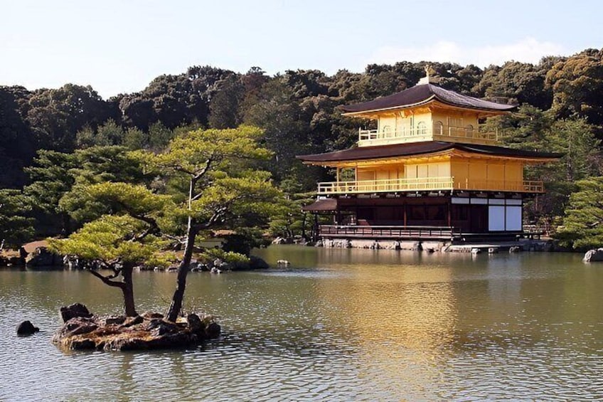 A traditional Japanese building by a calm lake with a prominent tree in the foreground. 3