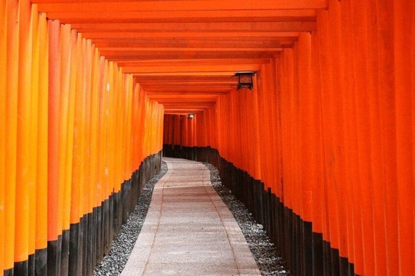 Un pasillo bordeado por torii de color naranja. 2