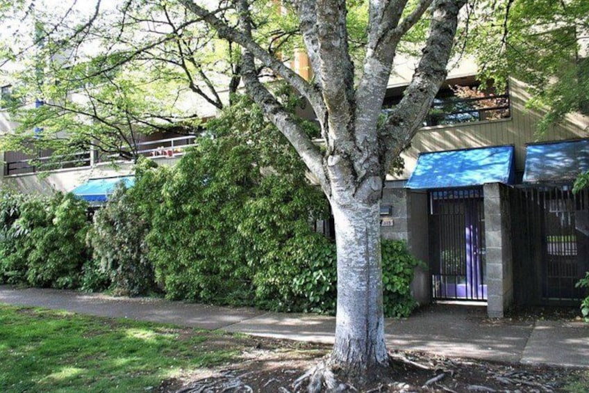 A tree in front of a building with a blue awning and a black gate. 2