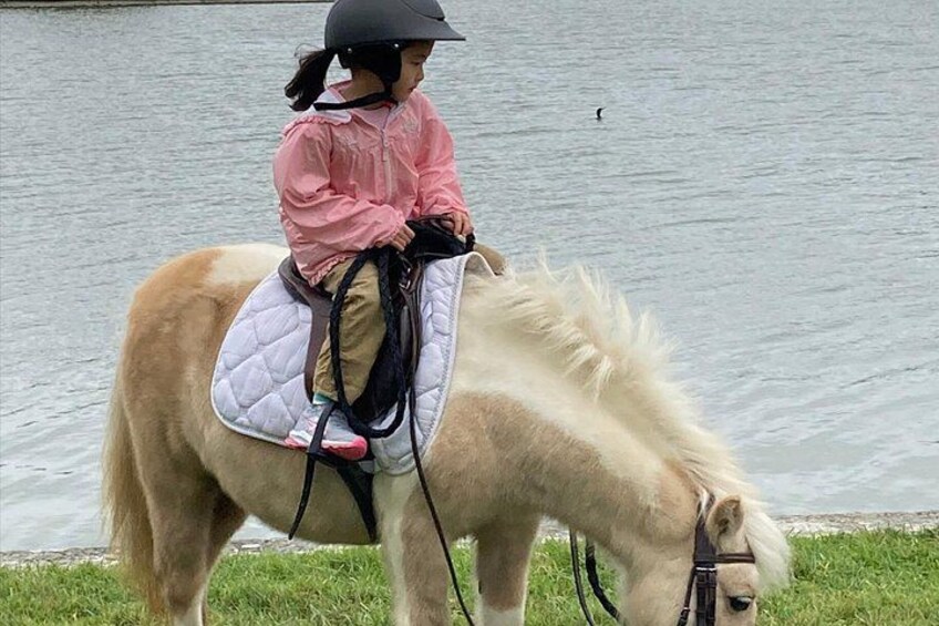 Versailles Horseback Riding Tour with Transfer from Paris 5
