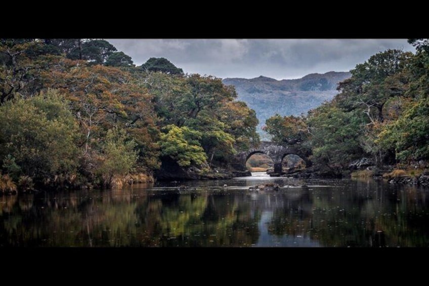 A river with a stone bridge, surrounded by dense trees and a mountain in the background. 3