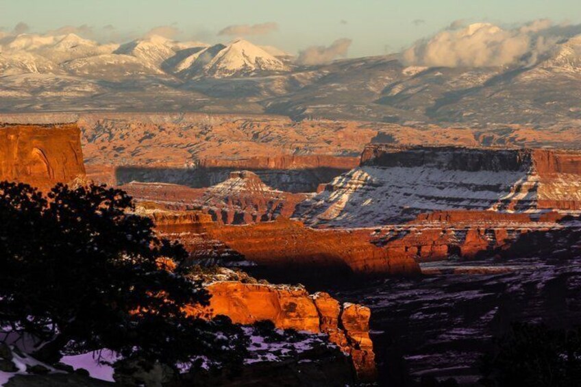 A canyon with snow-capped mountains in the background and a tree in the foreground. 1