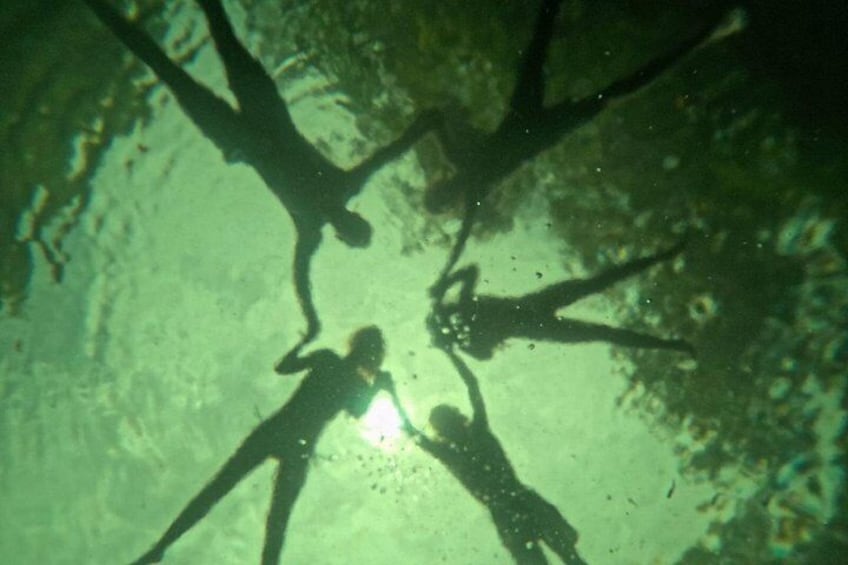 The sanctuary an adventure between mangroves 5