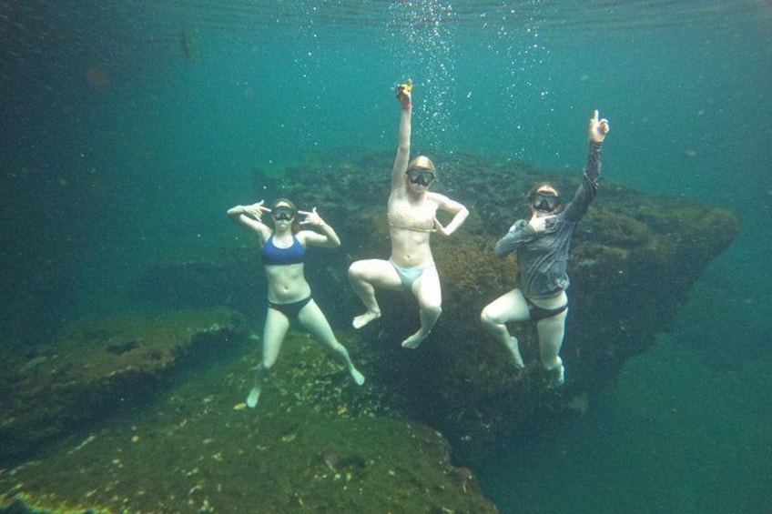 The sanctuary an adventure between mangroves 5