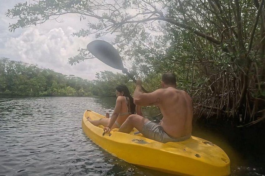 The sanctuary an adventure between mangroves 2