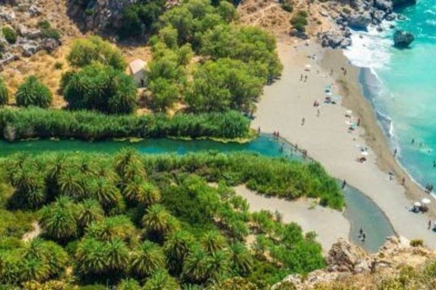 Paisaje costero con playa, abundante vegetación y un río. 1