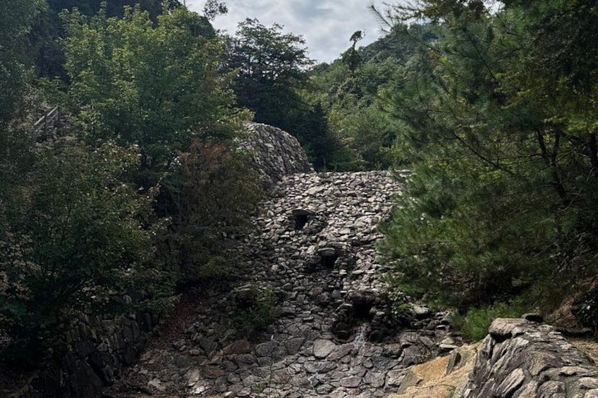 A rocky path surrounded by dense forest. 2