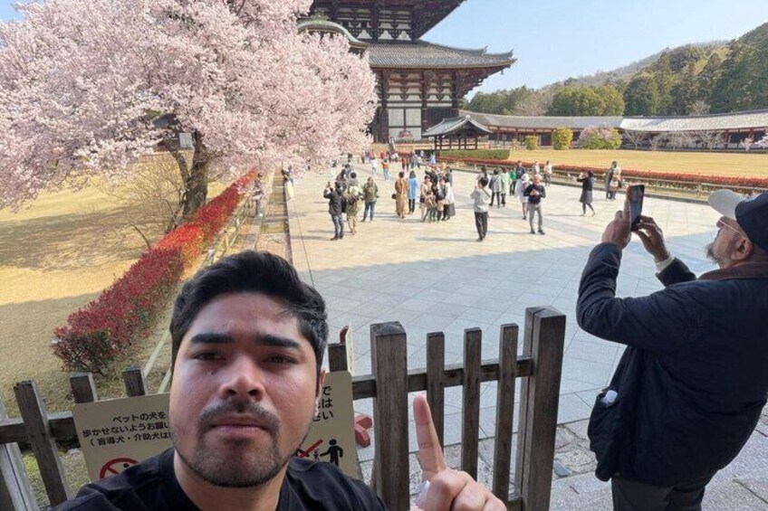 A traditional building with cherry blossoms and a crowd of people. 2