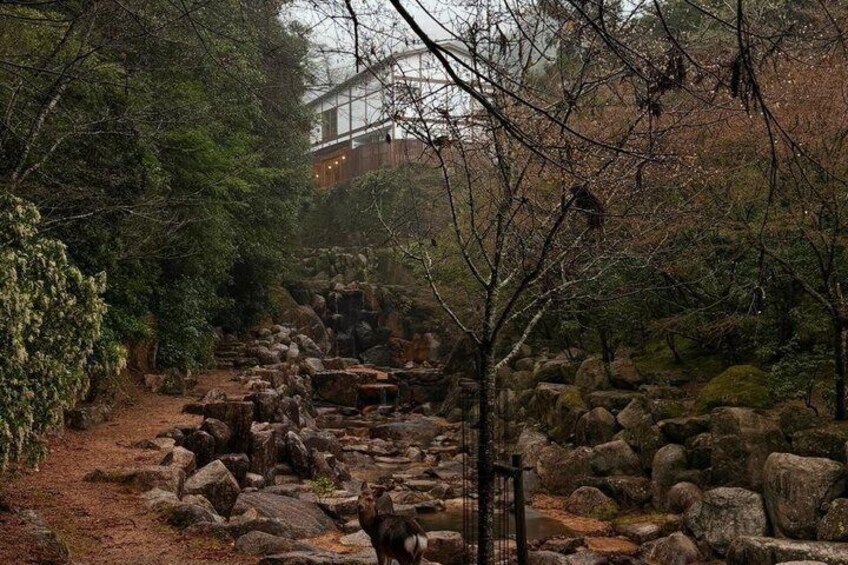 A rocky stream with trees and a building in the background. 3