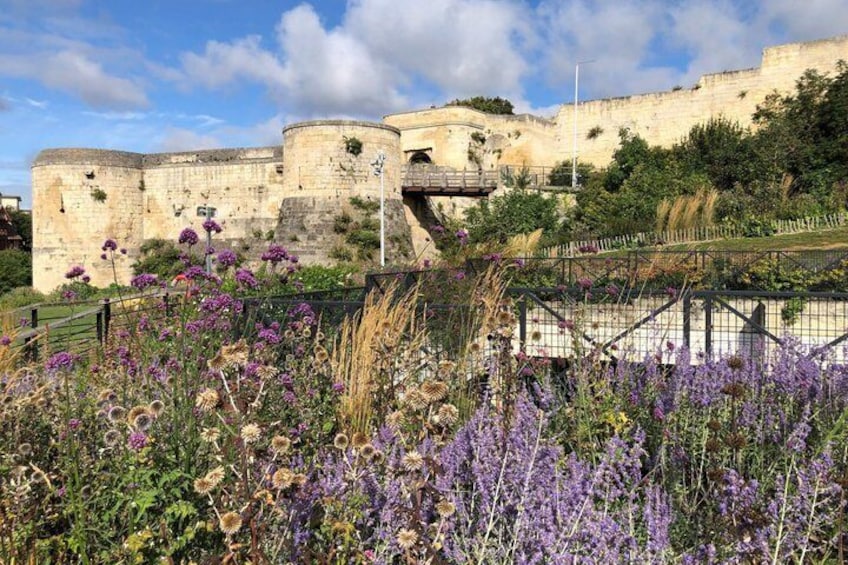 A historic stone castle with a bridge, surrounded by purple wildflowers. 5