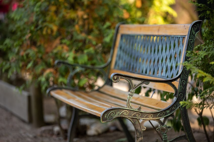 A wooden park bench with metal armrests and backrest, surrounded by greenery. 2