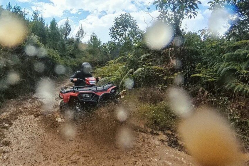 Eine Person fährt mit einem roten Quad auf einem Feldweg, umgeben von viel Grün. 1