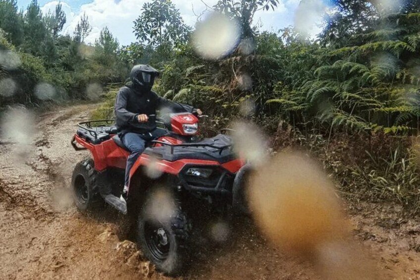 Eine Person fährt mit einem roten Quad auf einem unbefestigten Weg, umgeben von dichtem Grün. 2