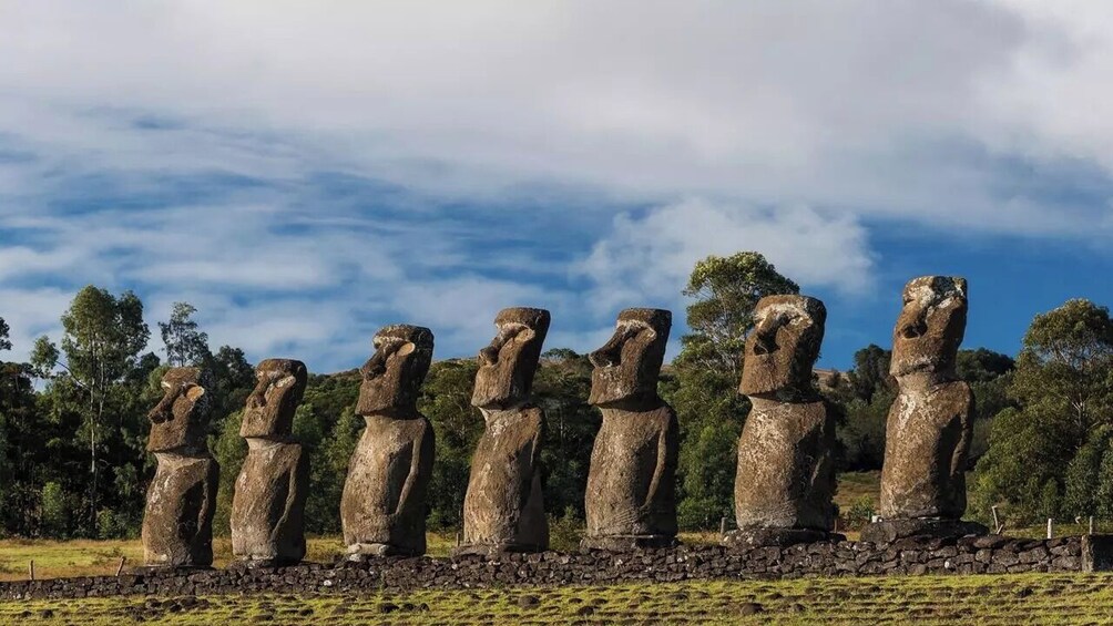 Une rangée de grandes statues de pierre se dresse dans un champ herbeux, avec des arbres en arrière-plan. 2