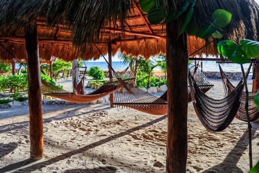 A beach with hammocks under thatched roofs, sandy beach, and ocean view. 4