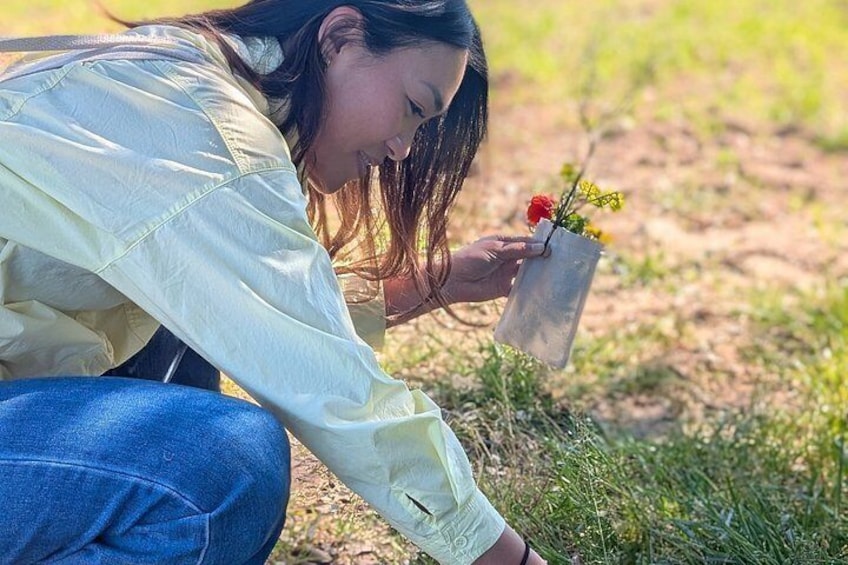Sunprints - A cyanotype workshop in nature with picnic 4