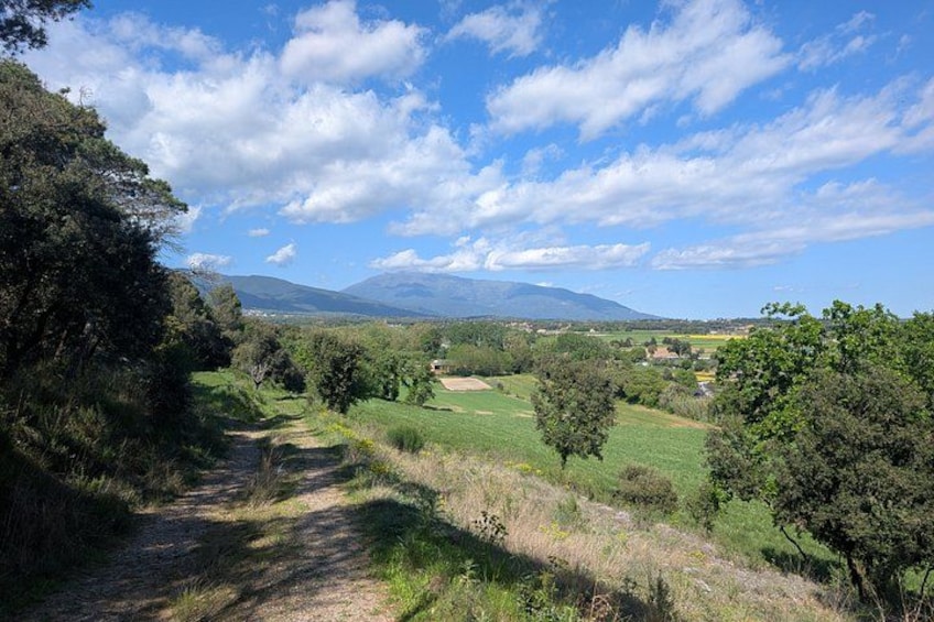 A rural landscape with a dirt path, green fields, trees, and distant mountains under a partly cloudy sky. 2