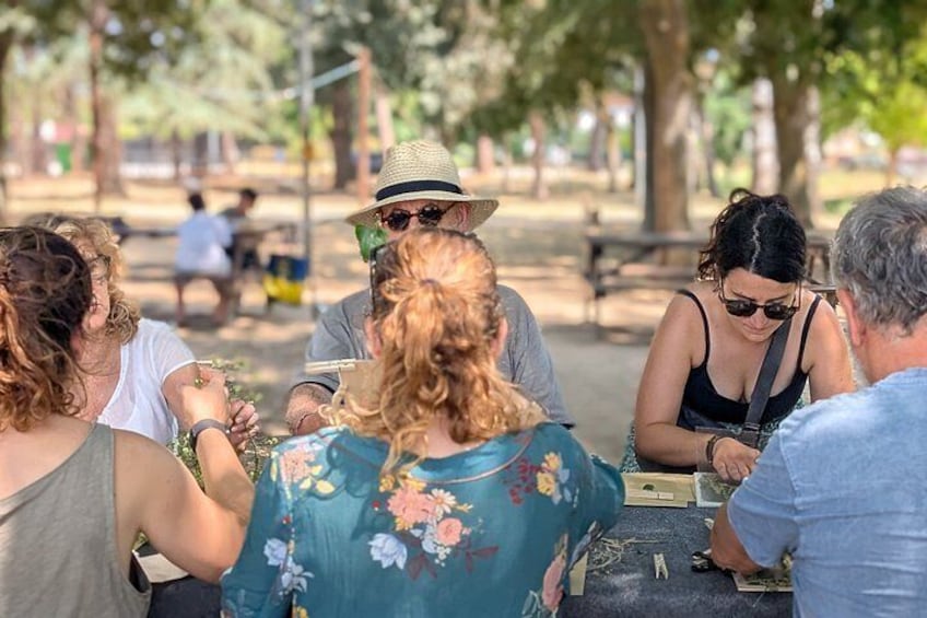 Sunprints - A cyanotype workshop in nature with picnic 2