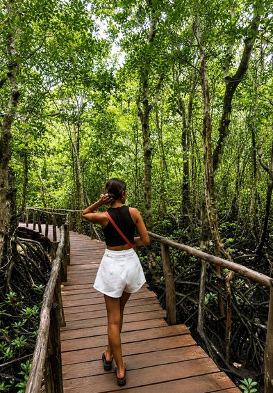 Picture 7 for Activity Zanzibar: Jozani Forest, Maalum Cave & Mtende Beach Tour 5