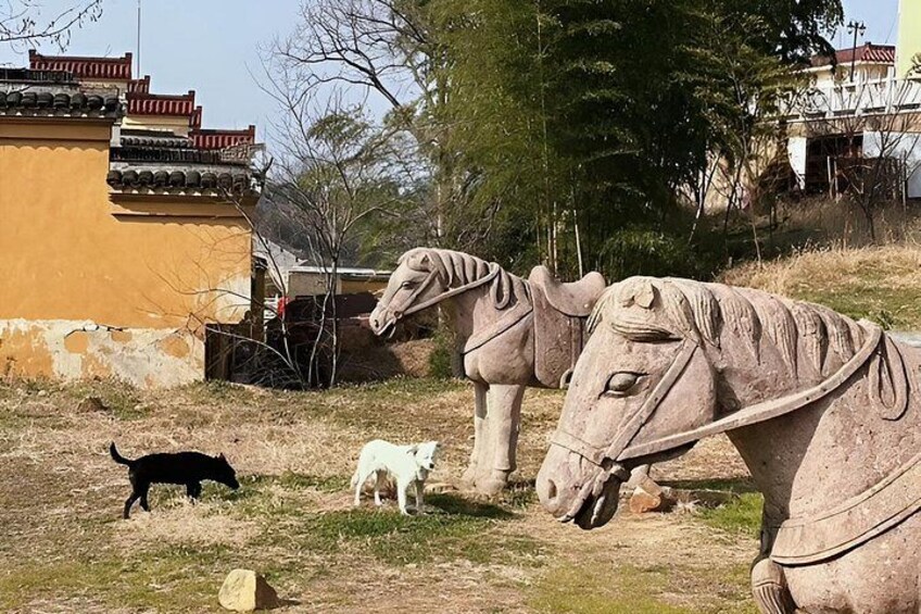 Yixing Little Great Wall Day Trip from Shanghai 3