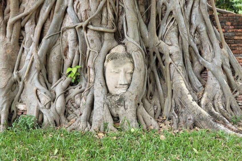 Ayutthaya and Boat Tour Customizable 2