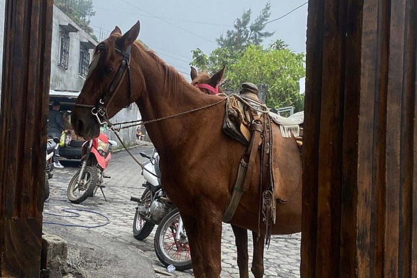 A brown horse with a saddle and bridle, standing on a cobblestone street with a motorcycle and a person in the background. 3